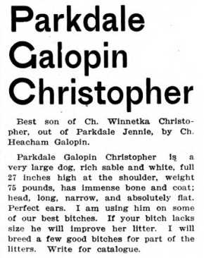 Parkdale Galopin Christopher
