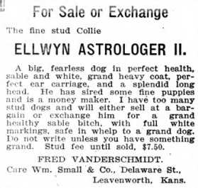 Ellwyn Atrologer II