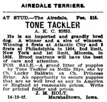 Tone Tackler (081023)