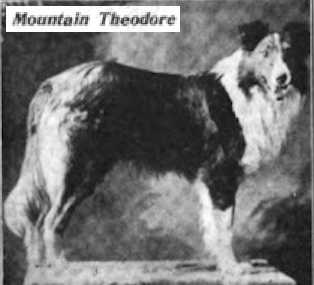 Mountain Theodore