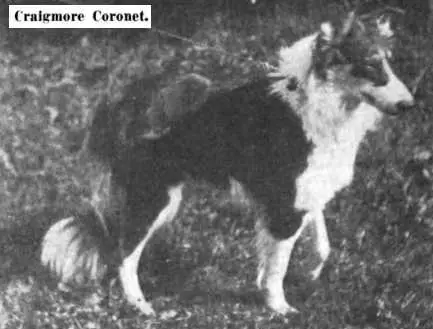 Craigmore Coronet (110938)