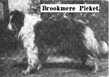 Brookmere Picket