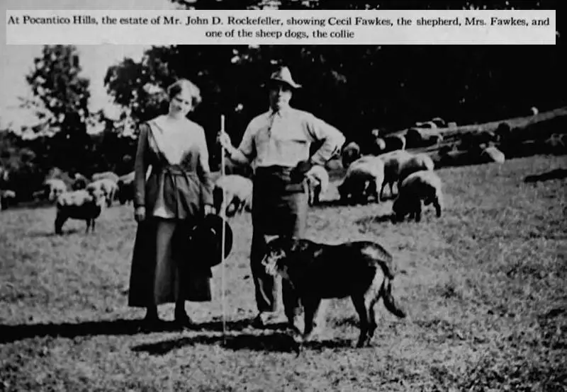 Archie Fawkes {Mr William Rockefeller's]