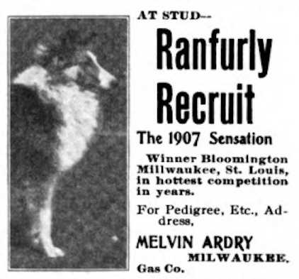 Ranfurly Recruit