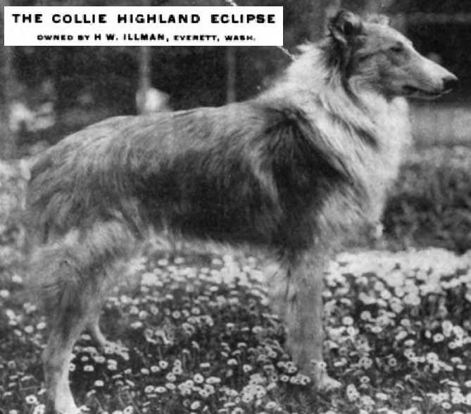 Highland Eclipse
