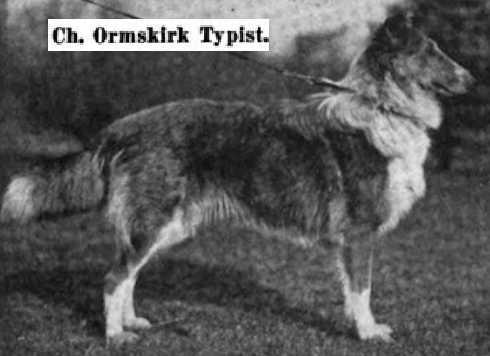 Ormskirk Typist