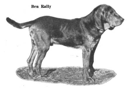 Ben Rally (1904)