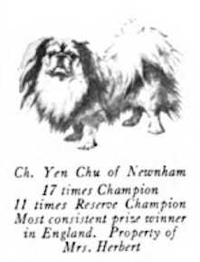 Yen Chu of Newnham