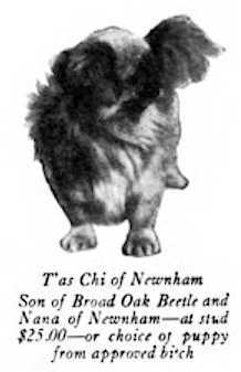 T'as Chi of Newnham