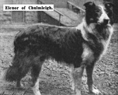 Elenor of Chulmleigh
