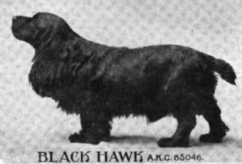 Black Hawk (085046)