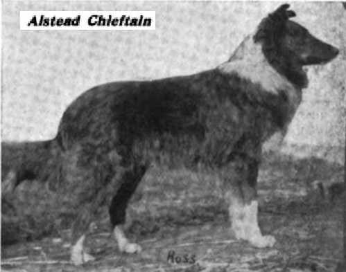 Alstead Chieftain