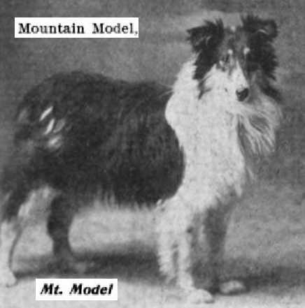Mountain Model