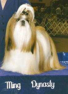 MING DYNASTY'S GUCCI