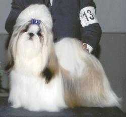 Ming Dynasty's Armani