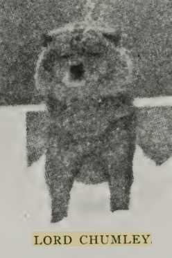 Liitle Lord Chumley 287778 vXXXVII