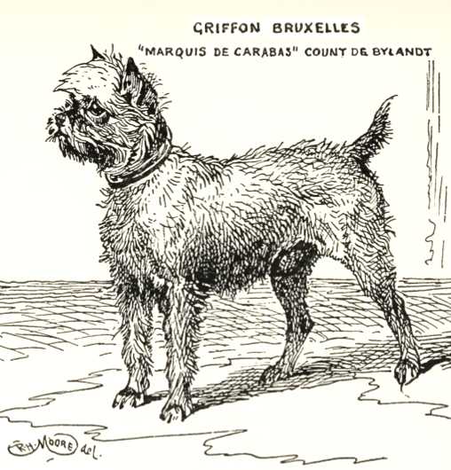 Marquis de Carabas [Count de Bylands's]