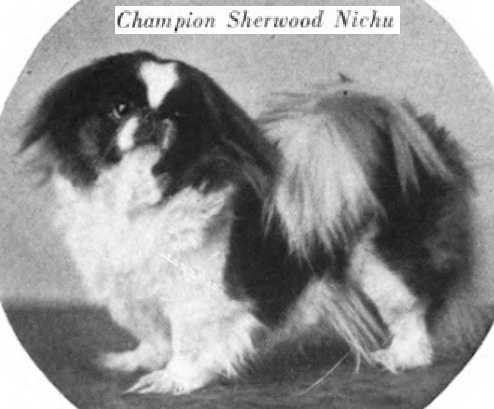 Sherwood Nichu