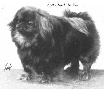 Sutherland Av Kai