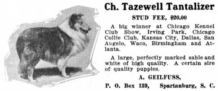 Tazewell Tantalizer (c.1916)