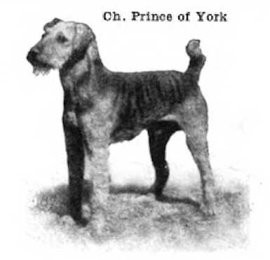 Prince of York 141822