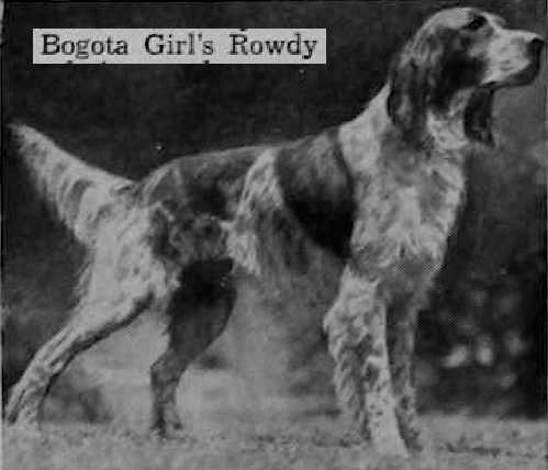 Bogota Girls Rowdy