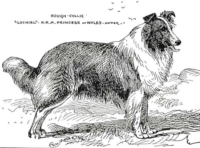 Lochiel [HRH Princess of Whales]