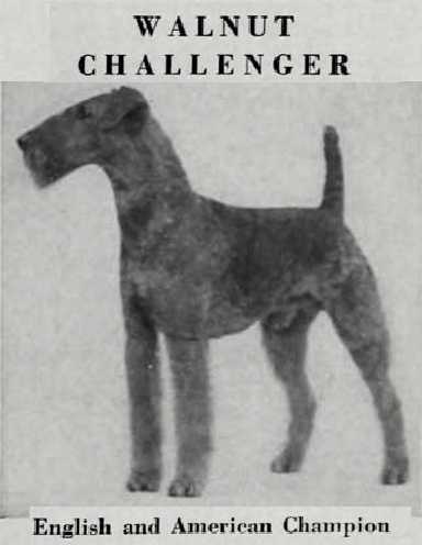 Walnut Challenger [Leonard Brumby's]