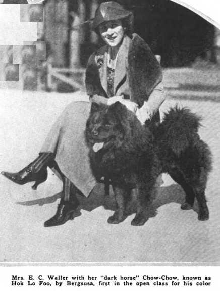 Hok Lo Foo [Mrs. E.C. Waller's]