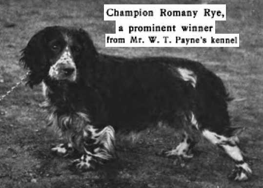 Romany Rye (c.1906) 054501 vXVII