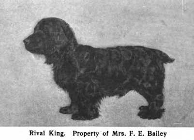 Rival KIng (c.1906)