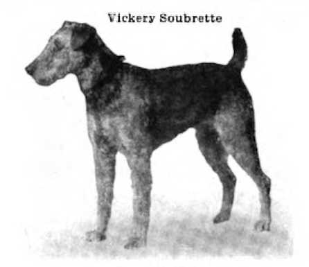 Vickery Sourbrette (c.1912)