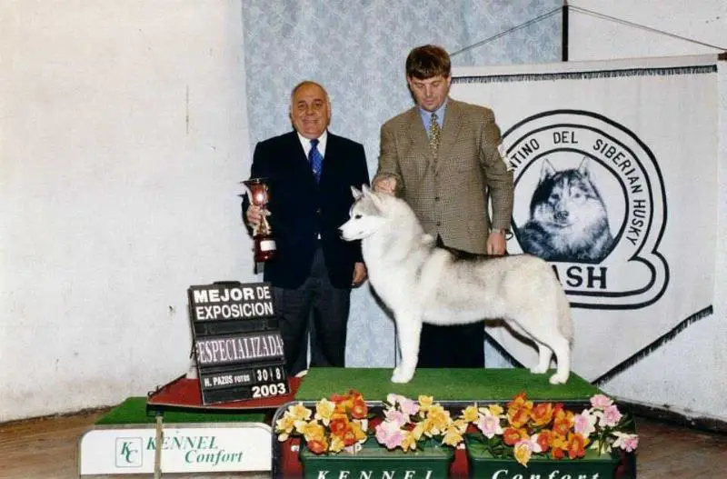 SIBIRLAND'S DAKOTA