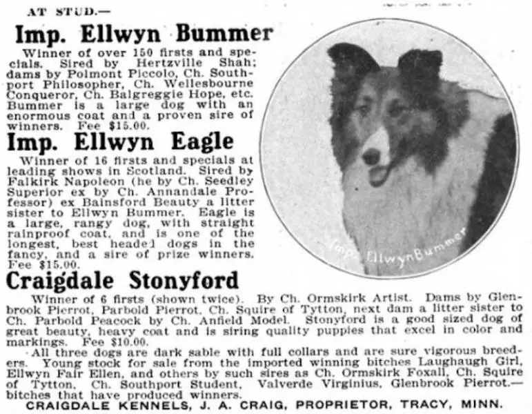 Ellwyn Bummer 148917