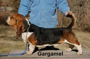 Gargamel Moravia Bray