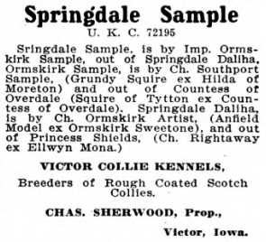 Springdale Sample UKC 072195