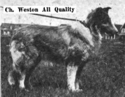 Weston All Quality
