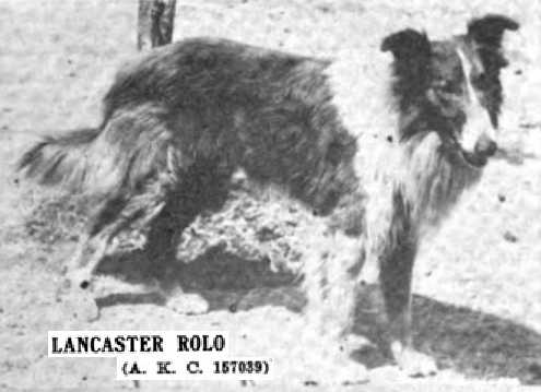 Lancaster Rollo 157039 (Rolo)
