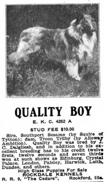 Quality Boy