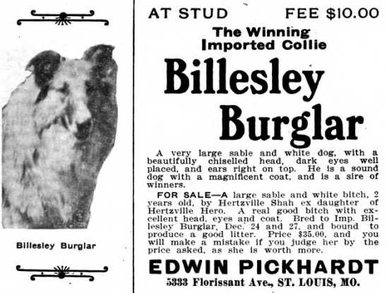 Billesley Burglar