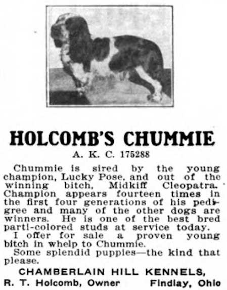 Holcomb's Chummie 175288