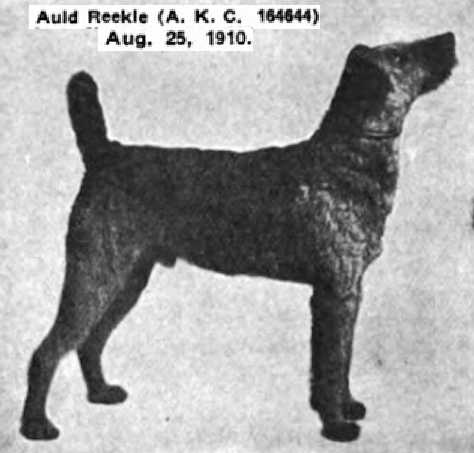 Auld Reekle 164644