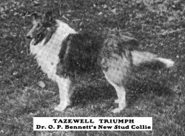 Tazewell Triumph (c1913)