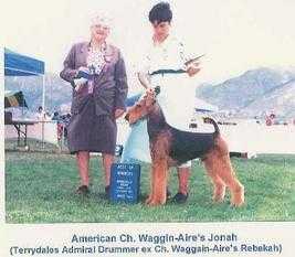 Waggin-Aire's Jonah