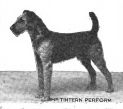 Tintern Perform