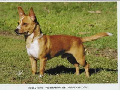 SLEYKH CACAO CHUAO
