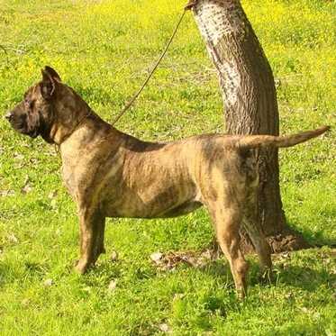 Winny de Guadalcan