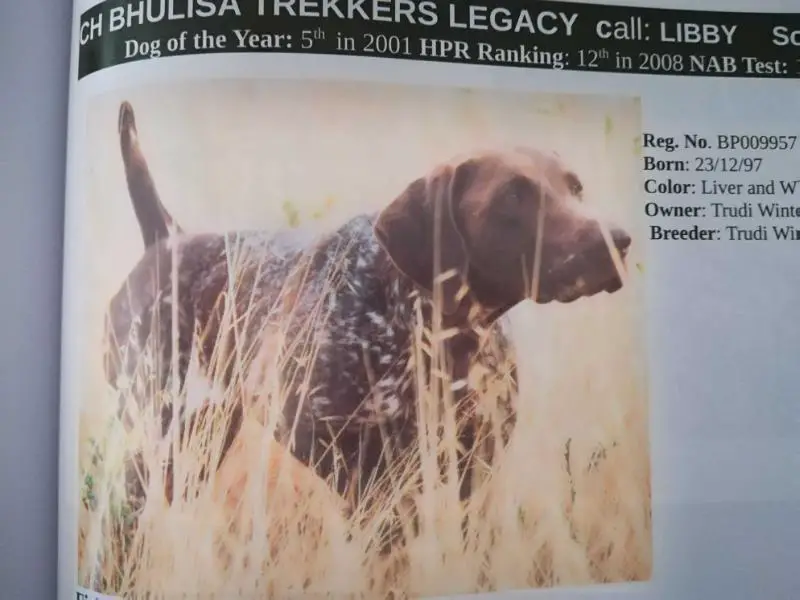 BHULISA TREKKERS LEGACY