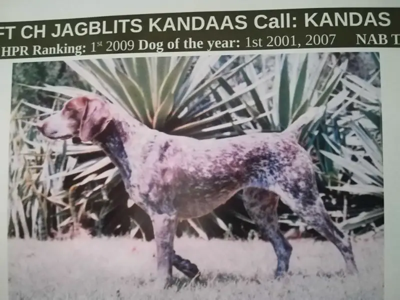 F.T JAGBLITS KANDAAS NA
