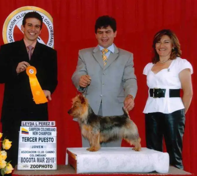 Tkenn del Claines Merlín